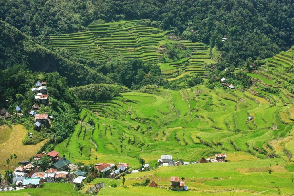 Batad Transient House Otel Banaue Dış mekan fotoğraf