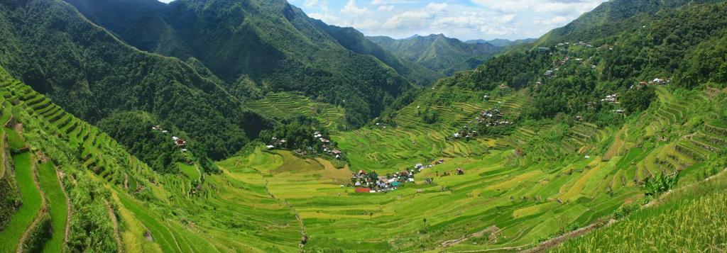 Batad Transient House Otel Banaue Dış mekan fotoğraf