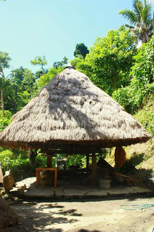 Batad Transient House Otel Banaue Oda fotoğraf