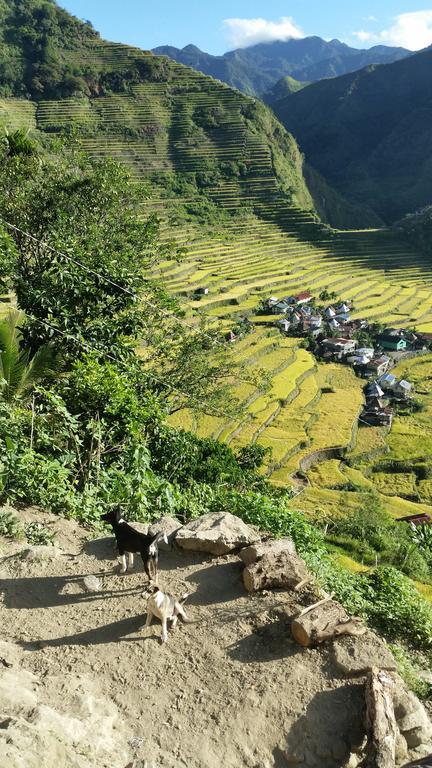 Batad Transient House Otel Banaue Dış mekan fotoğraf