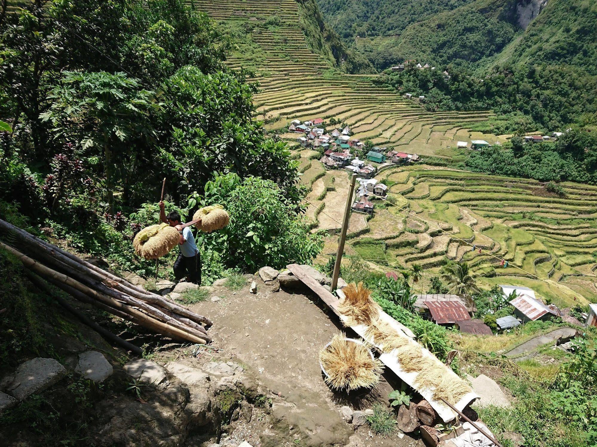 Batad Transient House Otel Banaue Dış mekan fotoğraf