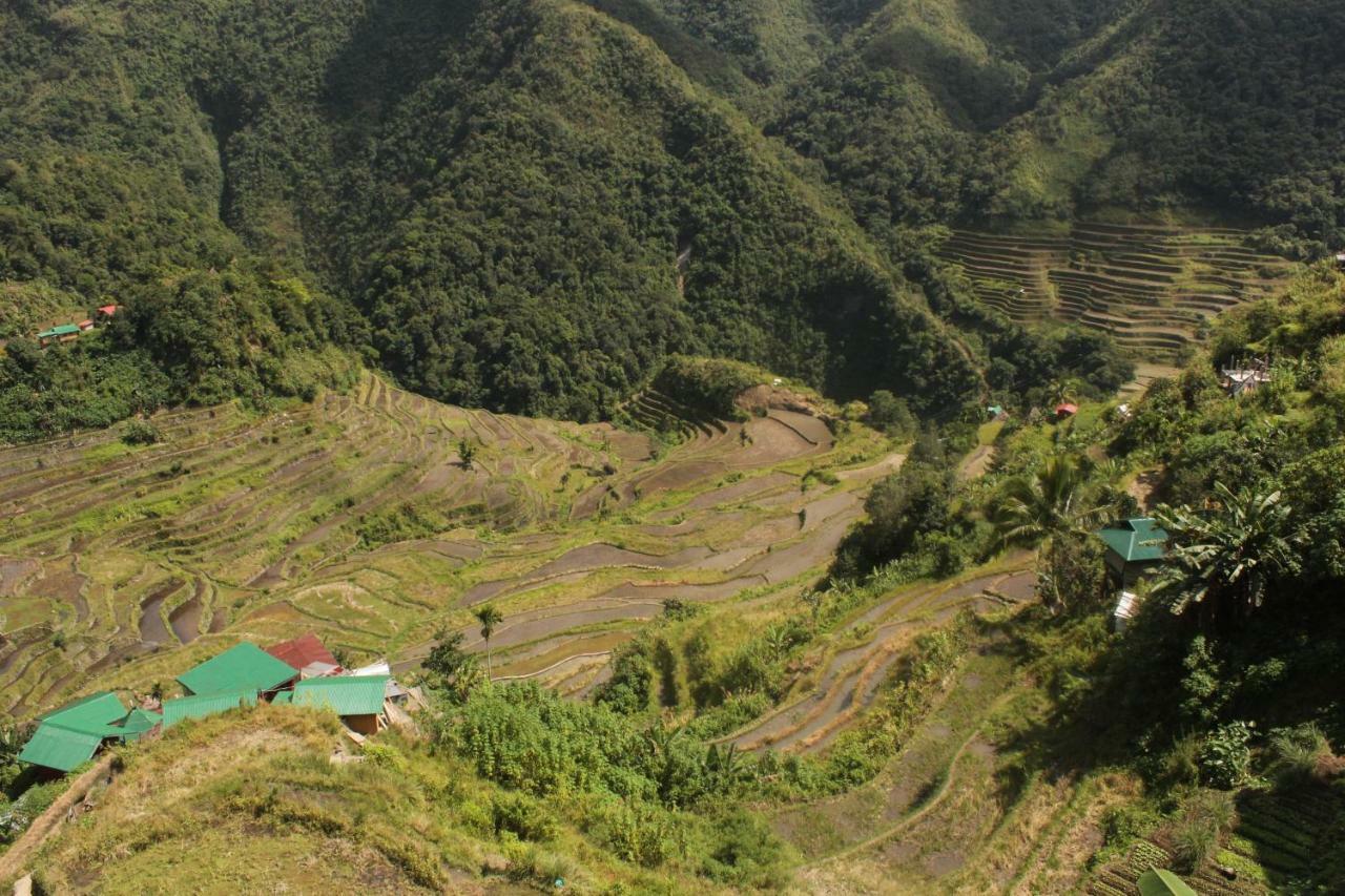 Batad Transient House Otel Banaue Dış mekan fotoğraf