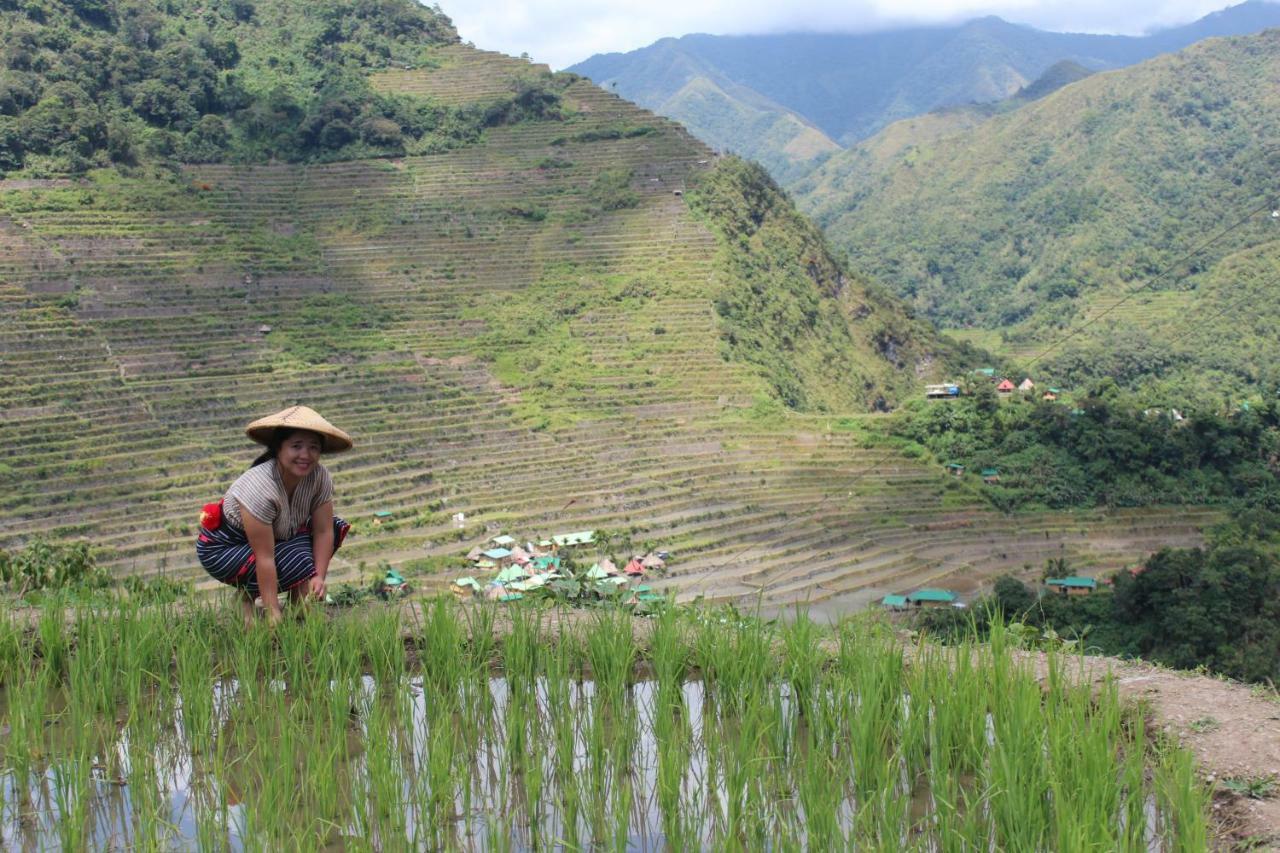 Batad Transient House Otel Banaue Dış mekan fotoğraf