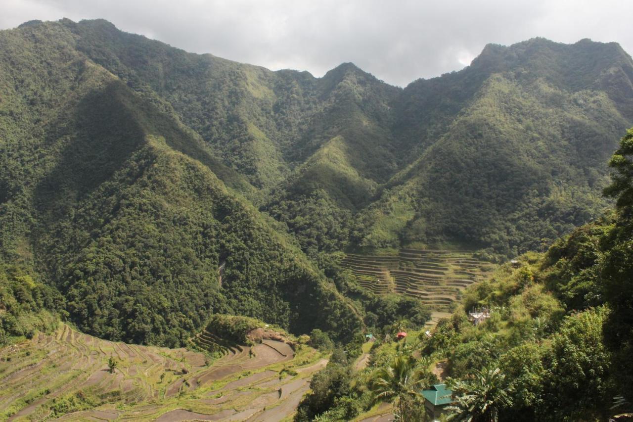 Batad Transient House Otel Banaue Dış mekan fotoğraf